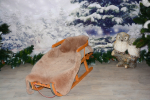 B-Ware Lammfell Beige geschoren (öko)
